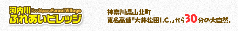 �͓���ӂꂠ���r���b�W�@�_�ސ쌧�R�k���@���������u��䏼�cI.C.�v����30���̑厩�R�B